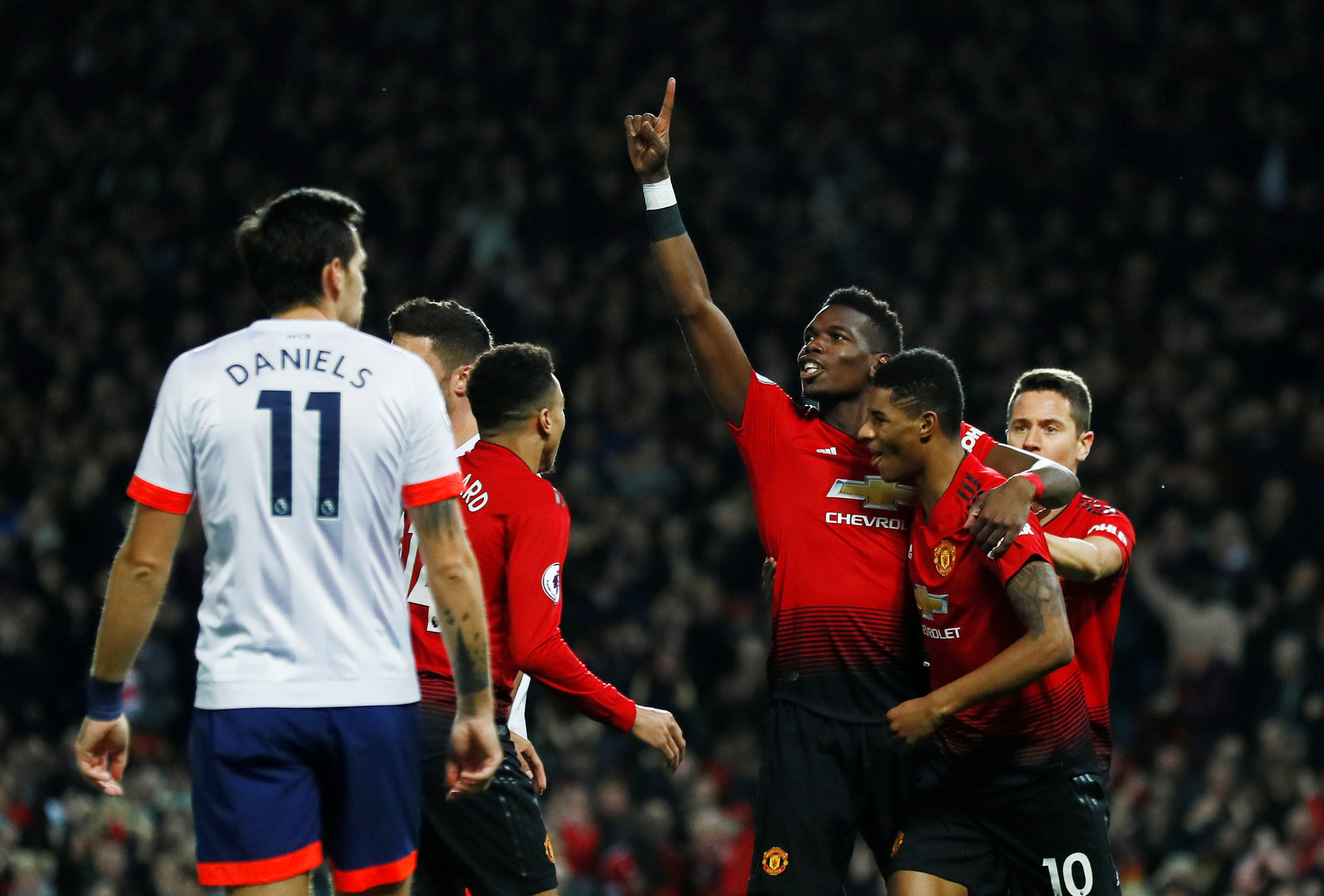 公开报告将 公开报告将